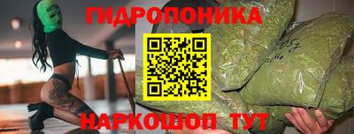кокс Можга