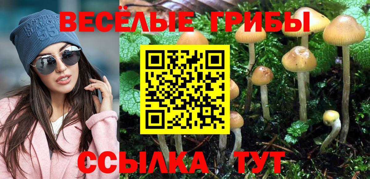 Югорск  Псилоцибиновые грибы мицелий  купить   Галлюциногенные грибы GOLDEN TEACHER  Вход с VPN 