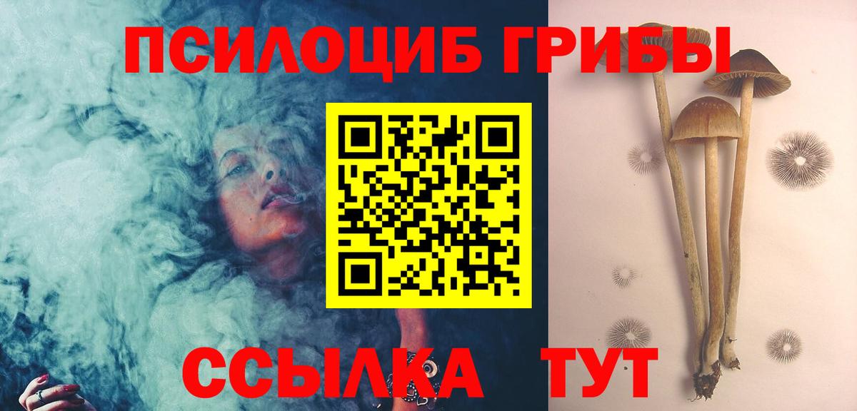 Псилоцибиновые грибы MAGIC MUSHROOMS Югорск